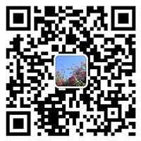 上海化学清洗丨管道清洗丨酸洗钝化丨设备清洗丨上海蓝化清洗技术有限公司